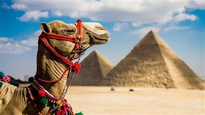  ملامح السياحة في مصر 2026.. الأسواق الأوروبية العمود الفقري للحركة السياحية الوافدة