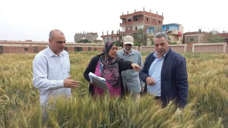 معهد بحوث أمراض النباتات