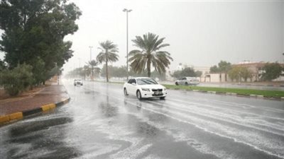  أمطار رعدية ورياح قوية.. طقس اليوم الثلاثاء 13 يناير 2026