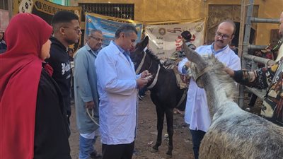 2900 قافلة بيطرية مجانية لخدمة 2600 قرية خلال 2025