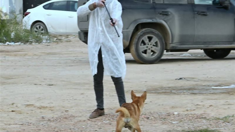 حملة من الطب البيطري 
