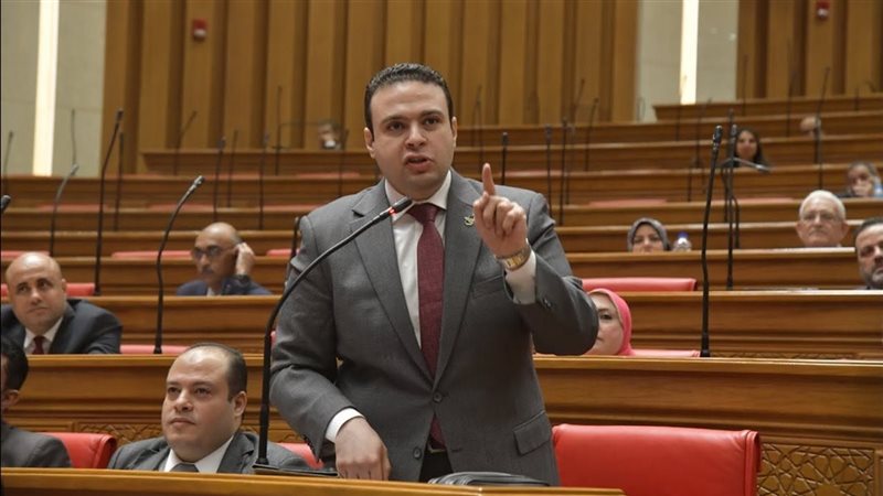 النائب عبد المنعم إمام