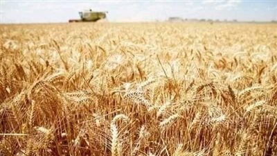 الأمن الغذائي والطاقة والصناعة.. مشروعات قومية تعزز قوة الاقتصاد المصري