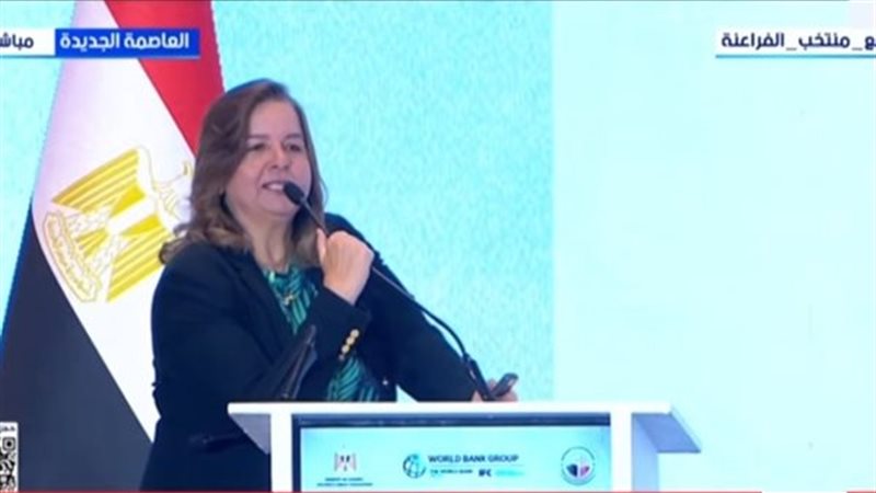 مي عبد الحميد