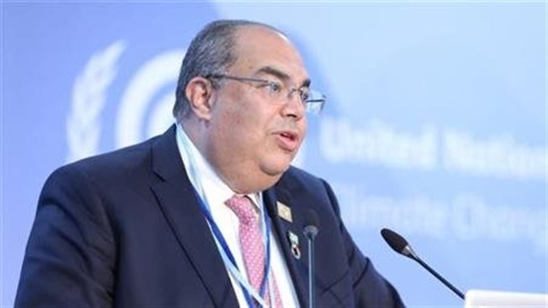 الدكتور محمود محيي الدين