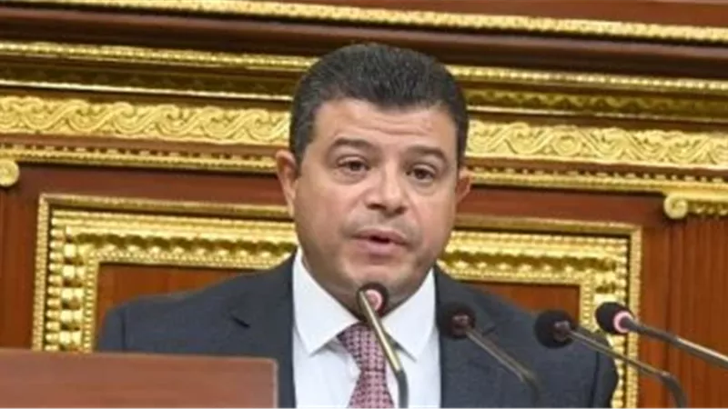 النائب محمد سليمان