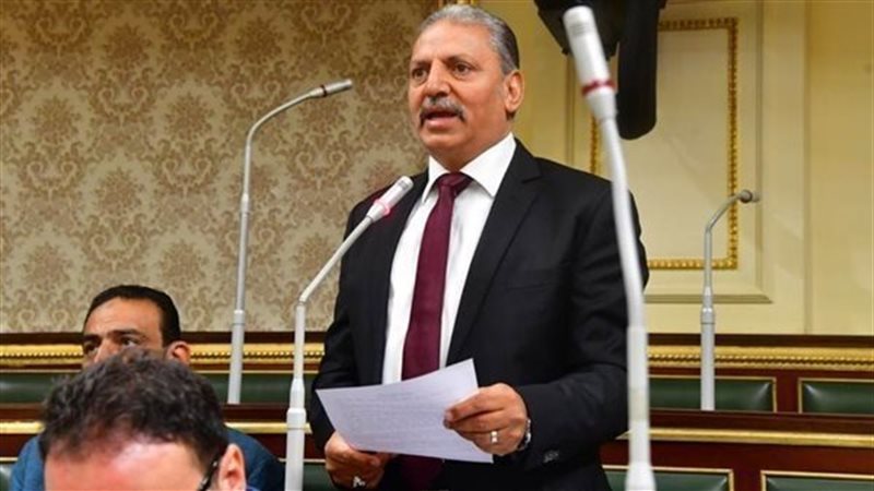  ابراهيم المصري وكيل لجنة الدفاع والأمن القومي بمجلس النواب