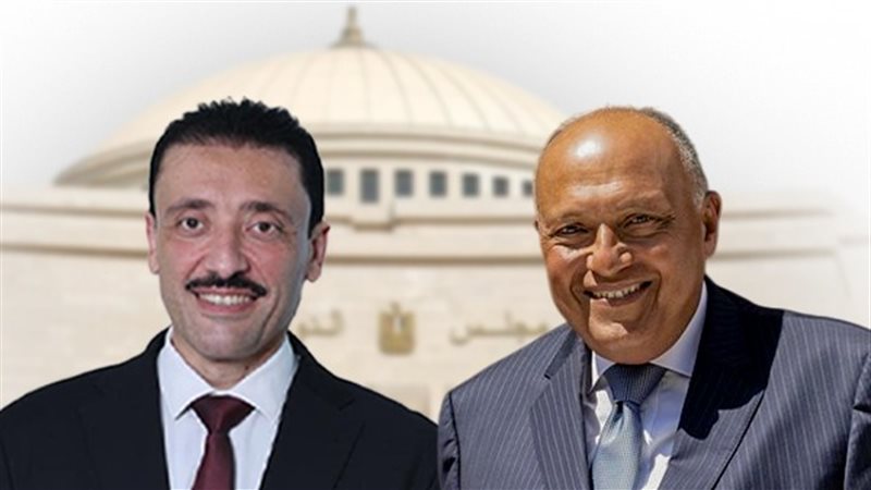 النائب محمد رزق يهنئ الوزير سامح شكري