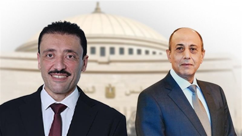 النائب محمد رزق يهنئ الفريق محمد عباس