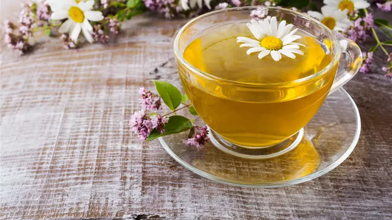 شاي البابونج 
