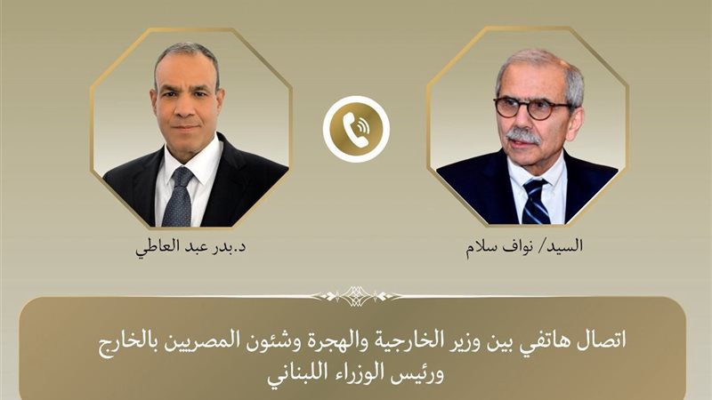 وزير الخارجية بدر عبد العاطي 