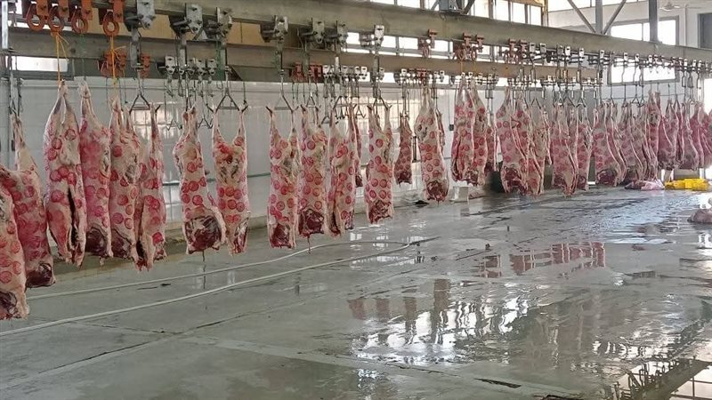  المجازر الرسمية