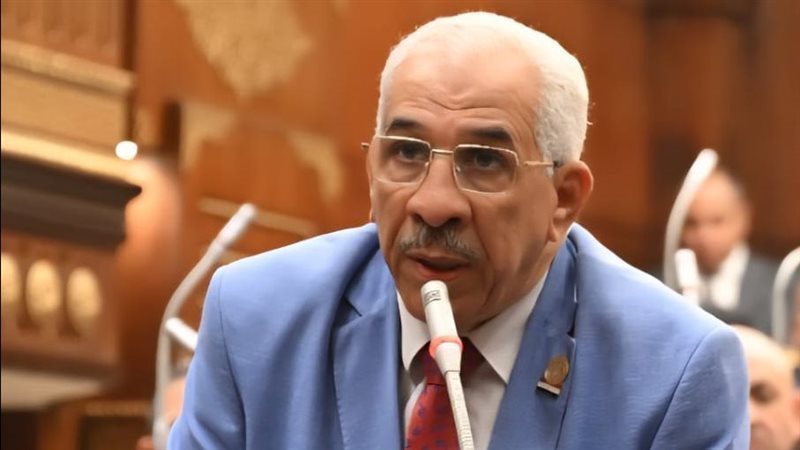 النائب مجدي سليم عضو مجلس الشيوخ