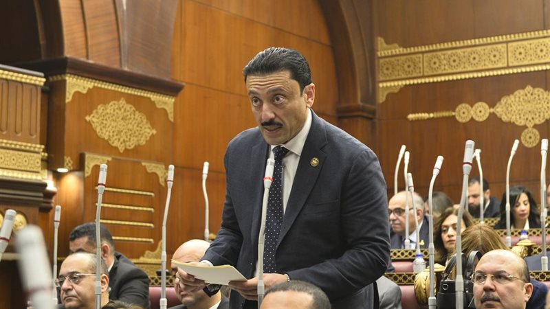 النائب محمد رزق