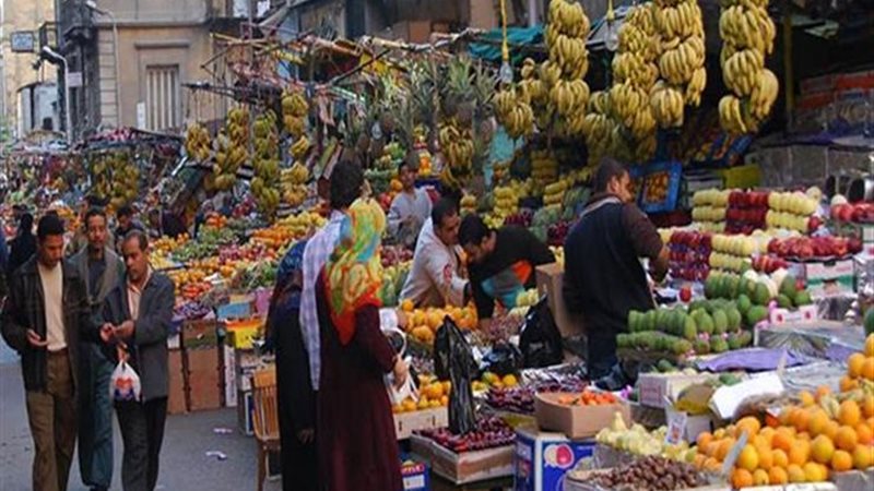 صور أرشيفية