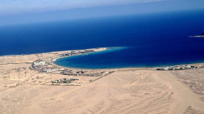 جرجوب الساحلي