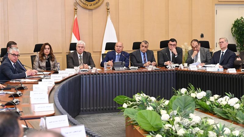 نائب رئيس مجلس الوزراء
