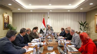 وزير قطاع الأعمال: «حياة كريمة» تشهد تنفيذ 737 مشروعًا في 13 محافظة