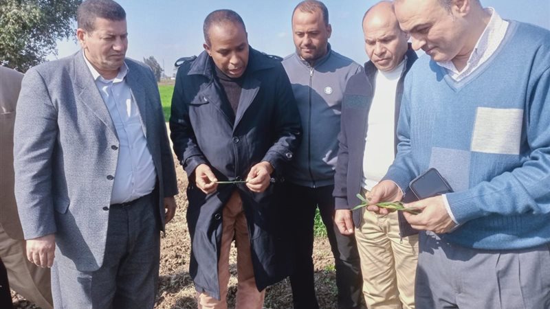 جانب من المتابعة 