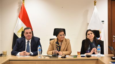 دعما للتحول الرقمي.. «الصحة» تستعد لإطلاق نظام المعلومات الصحية DHIS2
