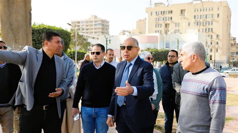 محافظ المنيا
