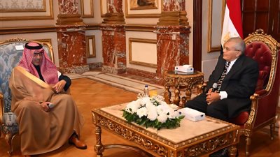 بعد زيارة السفير السعودي.. ما دار في لقاء القاهرة والرياض داخل مجلس الشيوخ؟