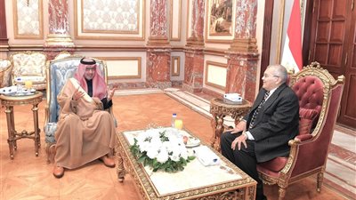 تحركات دبلوماسية تعزز عمق الشراكة المصرية السعودية| تفاصيل