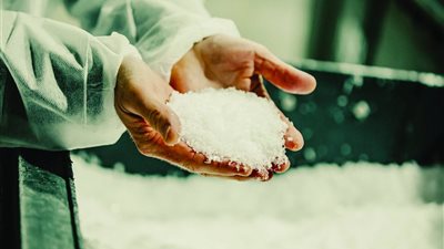 الملح المصري يحقق علامة جودة عالمية.. ملاحة 