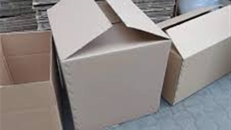إنتاج الكرتون