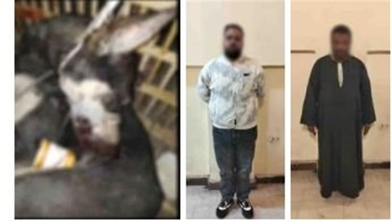 المتهمان عقب القبض عليهما