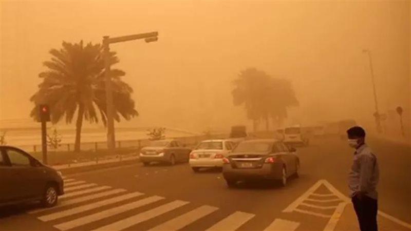 نصائح مهمة لسائقي السيارات اليوم