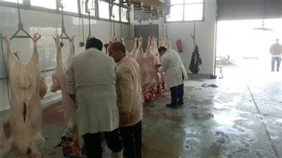 بتكلفة 21 مليون جنيه.. مشروع يغيّر قواعد اللعبة بالوادي الجديد