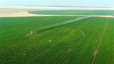 مشروع الدلتا الجديدة - أكبر مشروع زراعي وتنموي متكامل في تاريخ مصر