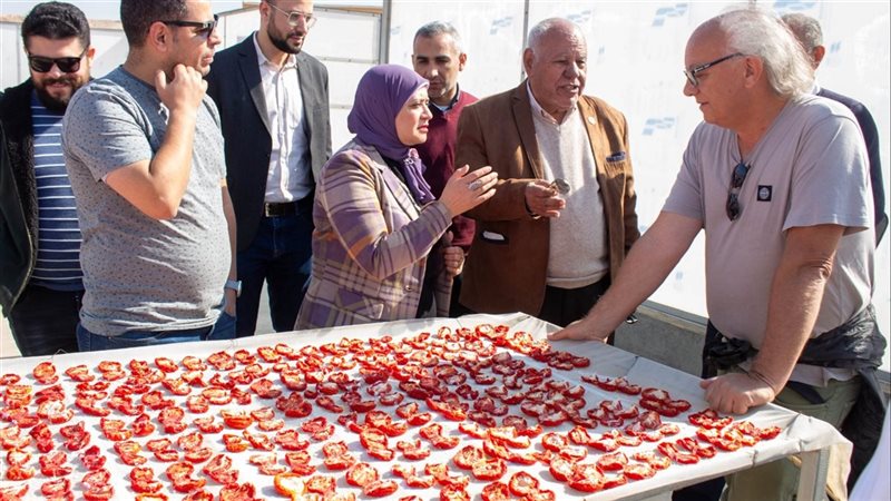 مدير المعمل المركزي لتحليل متبقيات المبيدات