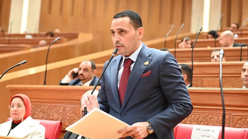  النائب إسلام التلوانى