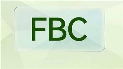 تأجيل الحكم على المتهمين في قضية منصة «FBC» الإلكترونية إلى هذا الموعد