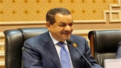 الجبلي: زراعة 3.76 مليون فدان قمح انتصار للإرادة المصرية في معركة السيادة الغذائية