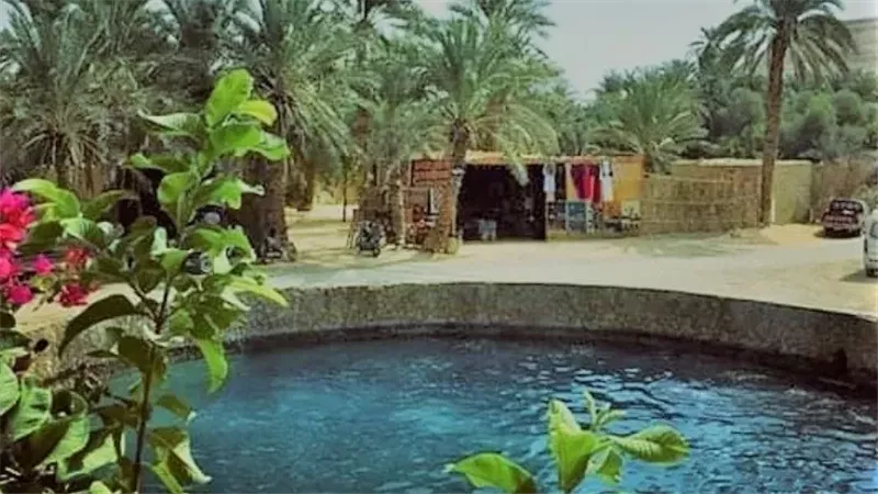واحة سيوة