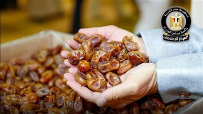 «إعلامي الوزراء» ينفي شائعات استيراد مصر للتمور الإسرائيلية ويوضح الحقائق بالأرقام