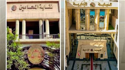 النيابة الإدارية تشرف قضائيًا على المرحلة الثانية من انتخابات نقابات المحامين الفرعية بالجمهورية