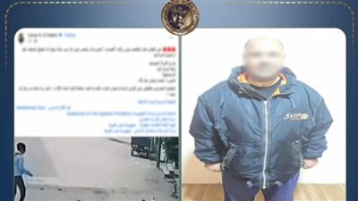 أمن الإسماعيلية يضبط شخصا تعدى على كلب ضال بأحد الشوارع