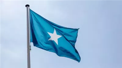 الصومال يؤكد التزامه بتعزيز الدبلوماسية الاقتصادية