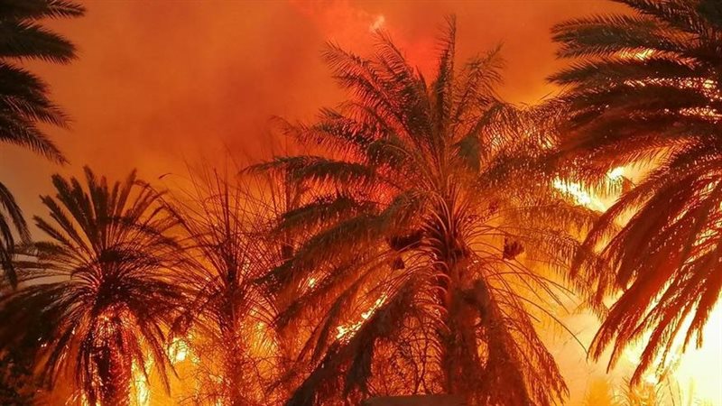 صورة أرشيفية 