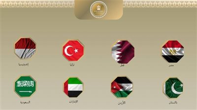 وزراء خارجية 8 دول يدينون الانتهاكات الإسرائيلية في غزة      