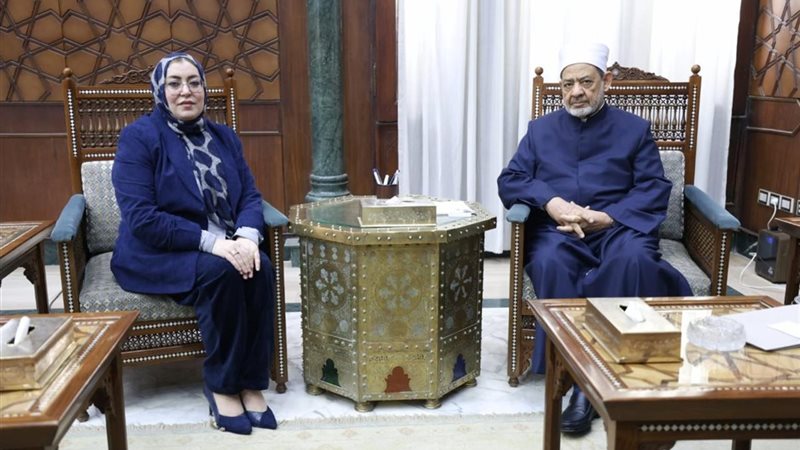 شيخ الأزهر خلال اللقاء 