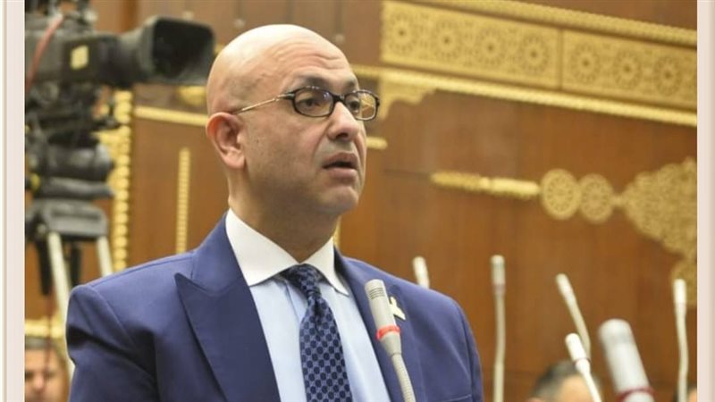 النائب مصطفى الشبراوي