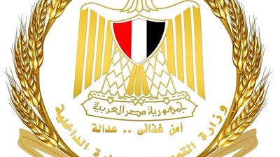 وزارة التموين تكشف حقيقة تصريحات ملفقة بشأن الأشقاء السودانيين