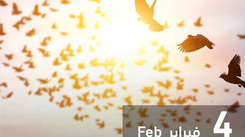 وثيقة الأخوة الإنسانية 