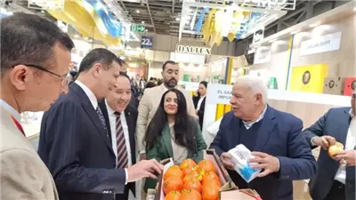 القاهرة تخترق أسواق أوروبا بمنتجاتها الزراعية.. خطوة تغير قواعد اللعبة