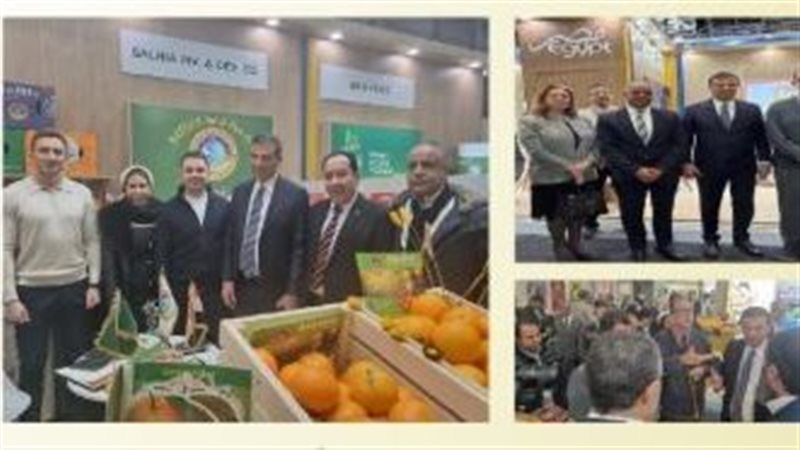 معرض فروت لوجيستيكا 2026